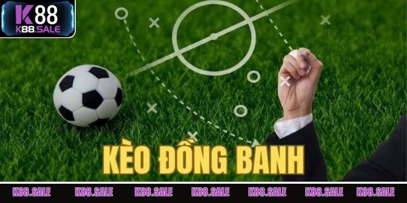 Bí quyết đặt kèo chuẩn xác từ những cao thủ cá cược